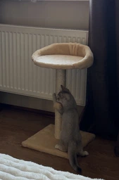 Когтеточка Lucky Pet Прана, серый, 33х33х50см фото от покупателей 2