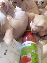 Пюре томатне Passata La Fiammante 690г (8001737105060)
