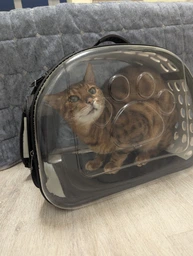 Сумка Переноска Для Кота Складна з Прозорими Стінками Сумка Для Домашніх Тварин до 7 кг Блакитна