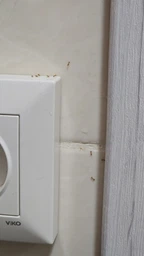Професійний засіб від мурах гель Advion Ant Gel Bait Syngenta США 1 шприц 30 г фото от покупателей 2