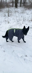 Комбінезон для собак Pet Fashion Cold сірий 3XL (MLZ8845)