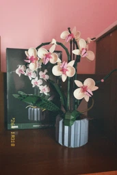 Конструктор Орхидея 608 деталей Ботаническая коллекция Набор Botanical Orchid Оригинальный подарок девушке и маме конструктор цветы фото от покупателей 5