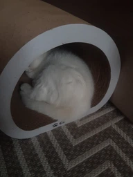 Кігтеточка-тунель для котів Cat Joy “Ampir” з гофрокартону, 30×24×37 см, біля
