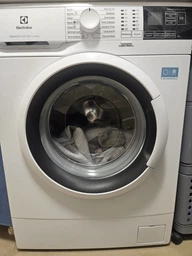 Стиральная машина автоматическая Electrolux EW6S404WU фото от покупателей 6
