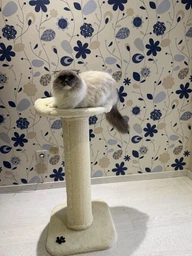 Дряпка Lucky Pet сезаль "Прана Максі", білий, 38х38х77 см