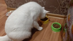 Сухий корм PURINA ONE Adult Dual Nature Spirulina для дорослих котів, з куркою 1.4кг (7613036269025)