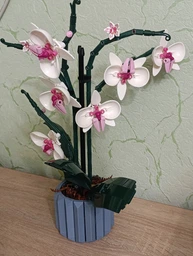 Конструктор Орхидея 608 деталей Ботаническая коллекция Набор Botanical Orchid Оригинальный подарок девушке и маме конструктор цветы фото от покупателей 1