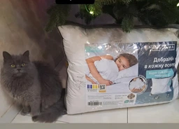 Подушка IDEIA Super Soft Classic (70*70см)