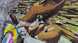 Картина за номерами "Букет соняшників" 40*50см Artissimo PN6407 фото від покупців 2