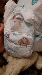 Подгузники-трусики Pampers Pants Щенячий патруль Размер 6 (14-19 кг) 60 шт (8006540863657) фото от покупателей 1