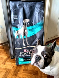 Сухой корм для собак при заболеваниях желудочно-кишечного тракта Purina Pro Plan Veterinary Diets EN - Gastrointestinal Canine 1.5 (кг)