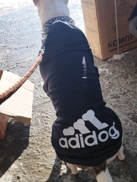 Толстовка для собак Adidog 2XL Синий фото от покупателей 3