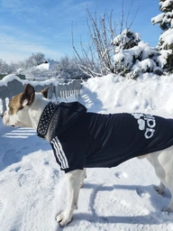 Толстовка для собак Adidog 2XL Синий фото от покупателей 2