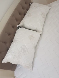 Подушка для сну IDEIA Air Dream Classic 70х70 Антиалергенне волокно два чохли з блискавкою Біла (4820182658310) фото від покупців 1