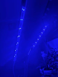 Фитолампа USB для роста растений на 4 лампы с подставкой, светодиодная LED фито лампа светильник для комнатных цветов, рассады, орхидей фото от покупателей 1
