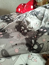 Одеяло Руно зимнее двуспальное 172x205 см антиаллергенное волокно Grey Cat (Р316.52СЛУ_Grey Cat) фото от покупателей 3
