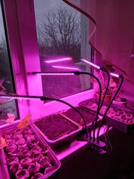 Фітолампа на 4 лампи світлодіодна LED для росту рослин на прищіпці фітосвітильник для кімнатних квітів, розсади, орхідей фіто лампа