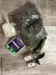 Орхідея (підліток зараз без квітів) TopDreams фаленопсис Phal 6176 Amber Jade (Chang Maw Jade x Gigantea) ароматний 1.7 (мох) фото от покупателей 1