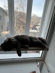 Лежанка для кота на окно подвесная гамак для кошки на присосках (ОL-152925) фото от покупателей 4