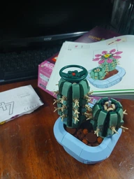 Конструктор LEGO Botanicals Цветение кактуса 482 детали (11509) фото от покупателей 1