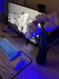 Бездротова ігрова механічна клавіатура Aula F75 2.4G Bluetooth з RGB Hot swap фото от покупателей 12