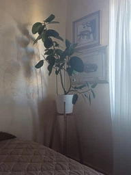 Підставка для вазонів WoodDecor косонога висока бук 210x880x500 мм Білий