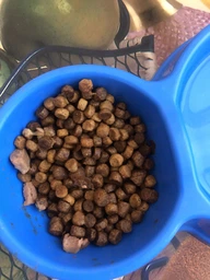 Carpathian Pet Food Kittens Для кошенят усіх порід у віці від 1 місяця до 1 року 12 кг