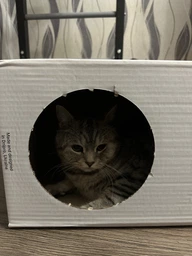 Когтеточка-лежанка для кошек Say Meow Cloud гофрокартон, 61х21х24 см (8040190102001)