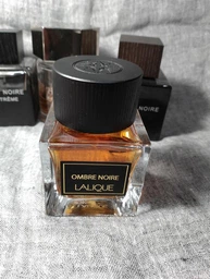 Парфюмированная вода для мужчин Lalique Ombre Noire 100 мл (7640171199153)