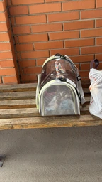 Сумка переноска для кота кошки котенка собаки домашних животных до 8 кг прозрачная с ремешком на плечо кошачьи сумки для переноски котов кошек собак котят серая 45×28×28 см (002294) фото от покупателей 7
