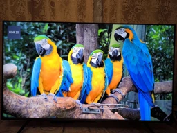 Телевизор TCL MiniLED 55" 55C6K фото от покупателей 17