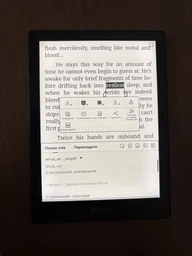 Электронная книга Onyx Boox Go 6 black Экран 6 дюймов фото от покупателей 1