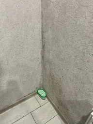 Средство Glutoclean от плесени с хлором 0.5 л (4044899387916) фото от покупателей 1