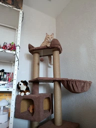 Домик когтеточка для кота дряпка для кошки Мур-Мяу Дуплекс 60 x 60 x 138 см в джутовой веревке Коричневый МТ фото от покупателей 5