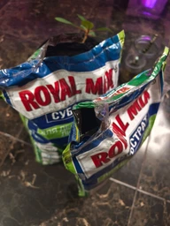 Торфяной субстрат Royal Mix для декоративно-лиственных 5 л 2 шт (2017112463) фото от покупателей 5
