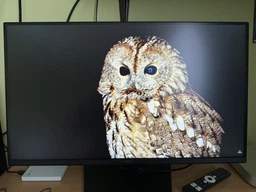 Монитор 27" Samsung Odyssey G50D (LS27DG502EIXCI) -- QHD 2K / IPS / 180Hz / 1 мс (GTG) / DisplayHDR 400 / FreeSync Premium / G-Sync Compatible / Pivot / Black Equalizer фото от покупателей 13