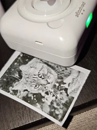 Набор фотобумаги для детской камеры или термопринтера HOCO PRINTING PAPER 5 шт