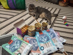Вологий корм консерви для котів Wanpy Gourmet Gold Paste Chicken курка паштет – 85г (TNC-24) фото від покупців 2