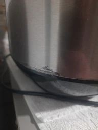 Мультиварка TEFAL Essential Cook RK321A34 фото от покупателей 12
