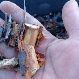 Садовий подрібнювач GTM фрезерний механізм (MS2800/45) фото від покупців 1