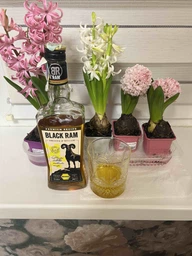 Напиток спиртной Black Ram Honey Spirit Drink 0.5 л 35% (3800032050236)