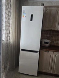 Холодильник LG GC-B509MEWM фото от покупателей 1