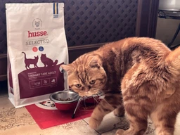 Сухий корм для підтримки здоровя сечовидільної системи котів HUSSE SENSITIVE URINARY CARE 2 кг фото от покупателей 2