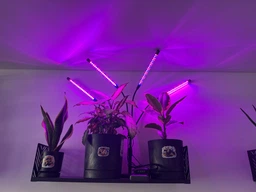 Фитолампа USB для роста растений на 4 лампы с подставкой, светодиодная LED фито лампа светильник для комнатных цветов, рассады, орхидей фото от покупателей 13