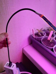 Фитолента для комнатных растений светодиодная рассады цветов фитолампа USB 5 метров фото от покупателей 16