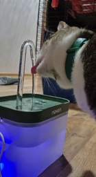 Автопоилка для кошек и собак Noxon AutoWater Clean 2в1 автоматическая поилка фонтан с фильтром и защитой от сухости + адаптер в подарок (NAW01) фото от покупателей 2