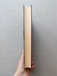 Книга Экспресс в Галицию. Коломийчук Богдан (на украинском языке)