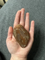 Кора сосновая голтованная (шлифованная), для орхидей средняя фракция 1 литр фото от покупателей 4