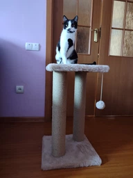 Дряпка для кота Мур-Мяу Гламур 37х37х64 см для кішок у джутовій мотузці Сірий фото від покупців 4