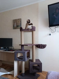 Домик когтеточка для кота дряпка для кошки Мур-Мяу Дуплекс 60 x 60 x 138 см в джутовой веревке Коричневый МТ фото от покупателей 1